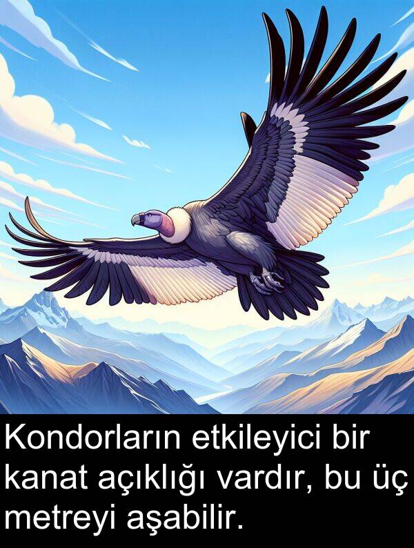 kanat: Kondorların etkileyici bir kanat açıklığı vardır, bu üç metreyi aşabilir.