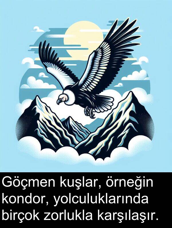 kuşlar: Göçmen kuşlar, örneğin kondor, yolculuklarında birçok zorlukla karşılaşır.