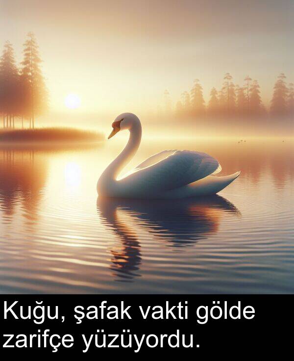 zarifçe: Kuğu, şafak vakti gölde zarifçe yüzüyordu.