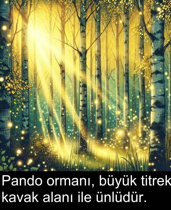 ile: Pando ormanı, büyük titrek kavak alanı ile ünlüdür.