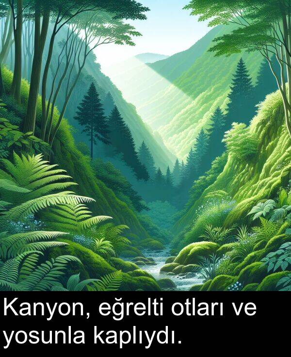 eğrelti: Kanyon, eğrelti otları ve yosunla kaplıydı.