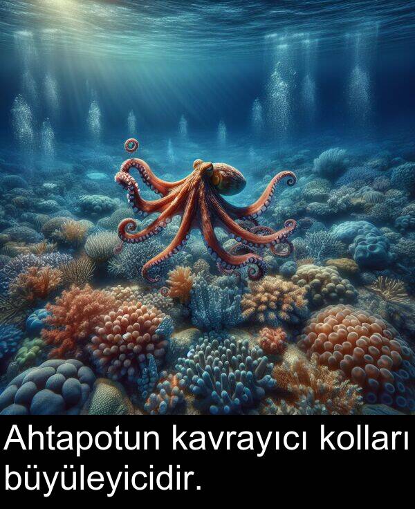 büyüleyicidir: Ahtapotun kavrayıcı kolları büyüleyicidir.