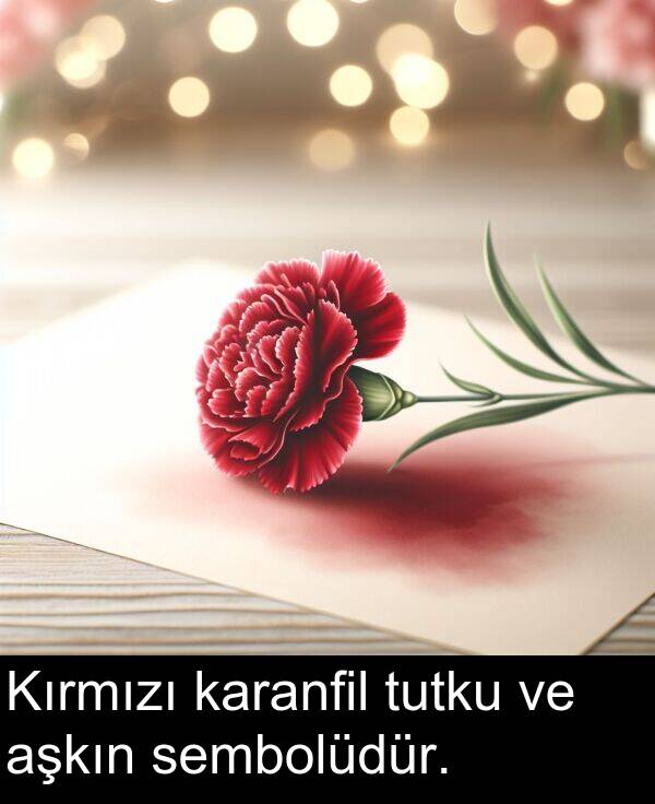 sembolüdür: Kırmızı karanfil tutku ve aşkın sembolüdür.