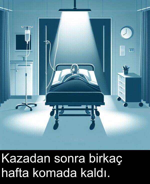 kaldı: Kazadan sonra birkaç hafta komada kaldı.