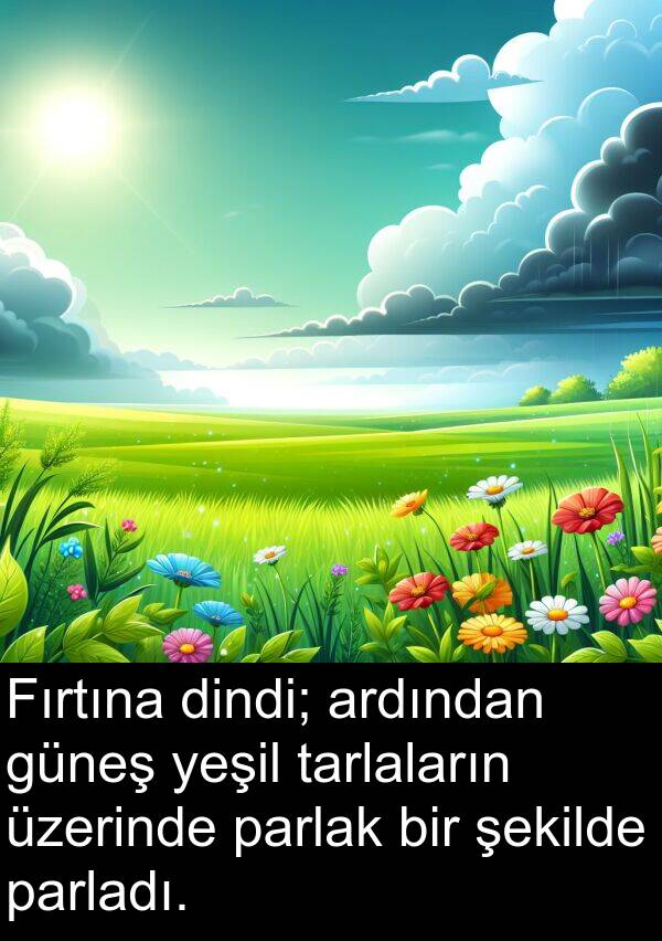 parlak: Fırtına dindi; ardından güneş yeşil tarlaların üzerinde parlak bir şekilde parladı.