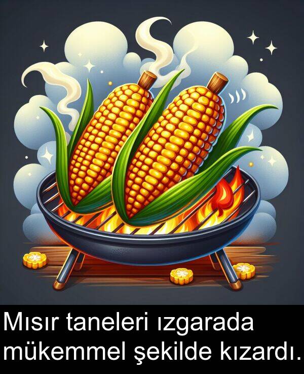 taneleri: Mısır taneleri ızgarada mükemmel şekilde kızardı.