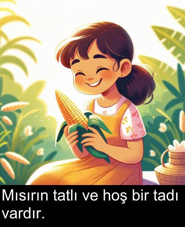 vardır: Mısırın tatlı ve hoş bir tadı vardır.
