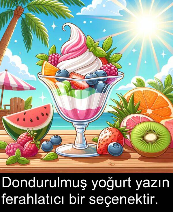 yoğurt: Dondurulmuş yoğurt yazın ferahlatıcı bir seçenektir.