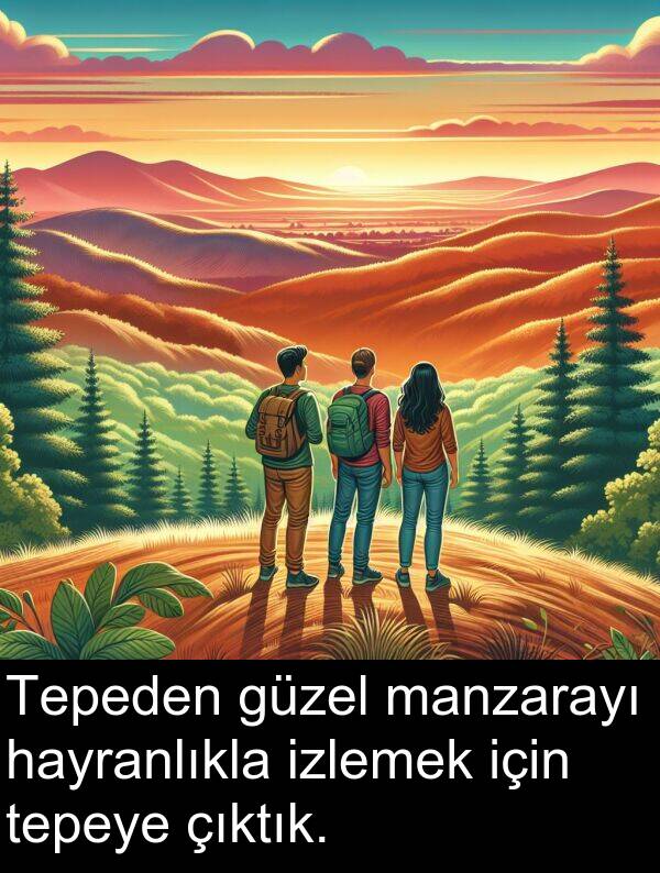 hayranlıkla: Tepeden güzel manzarayı hayranlıkla izlemek için tepeye çıktık.