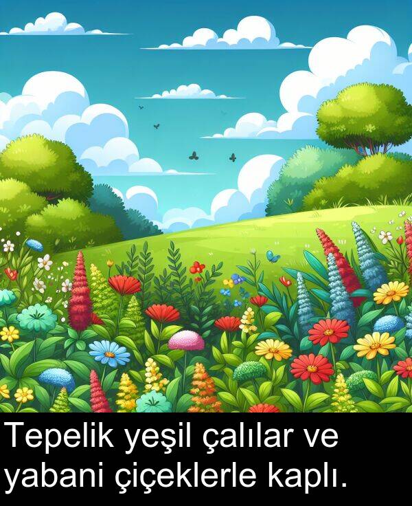 yabani: Tepelik yeşil çalılar ve yabani çiçeklerle kaplı.
