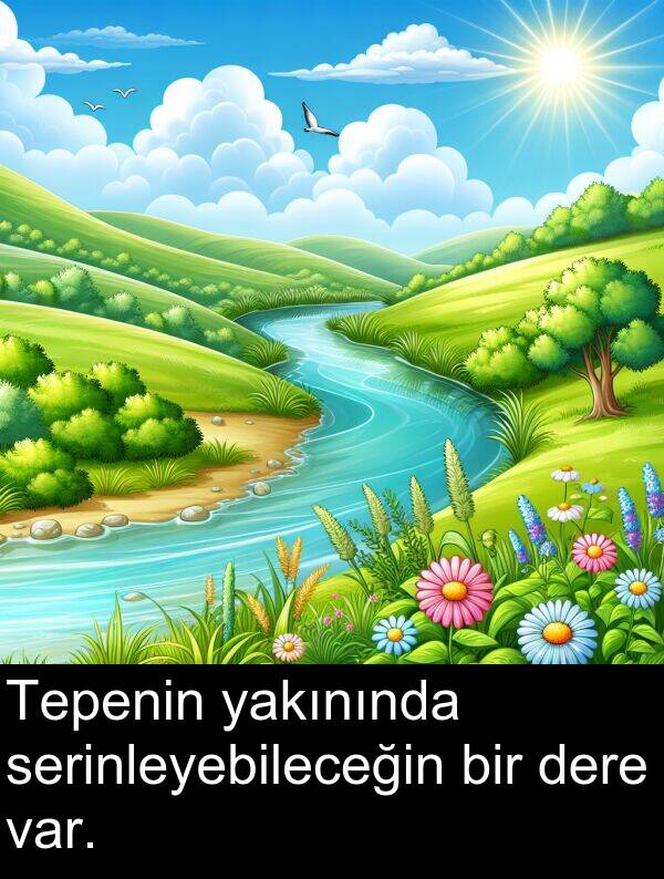 yakınında: Tepenin yakınında serinleyebileceğin bir dere var.