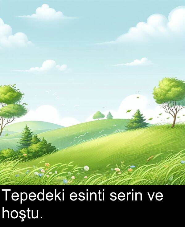 serin: Tepedeki esinti serin ve hoştu.
