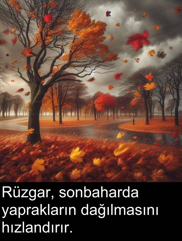 yaprakların: Rüzgar, sonbaharda yaprakların dağılmasını hızlandırır.