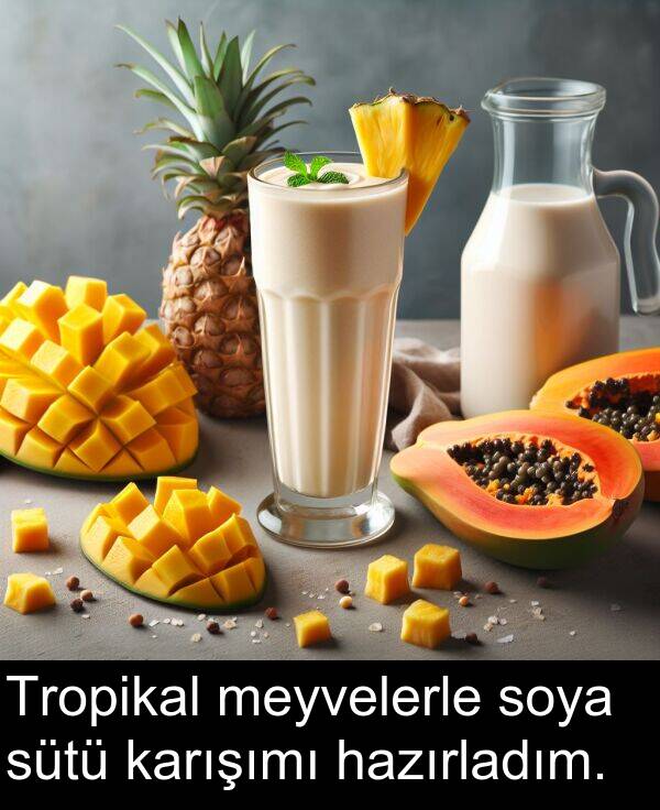 sütü: Tropikal meyvelerle soya sütü karışımı hazırladım.