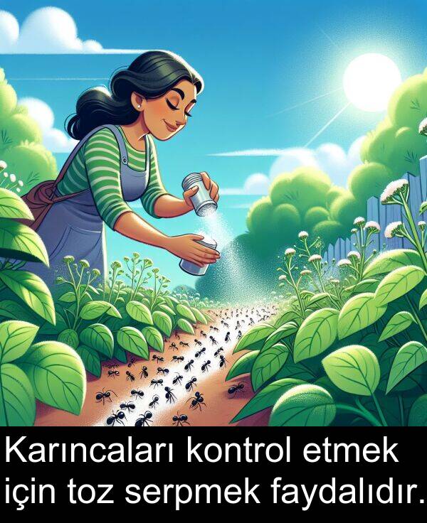 faydalıdır: Karıncaları kontrol etmek için toz serpmek faydalıdır.