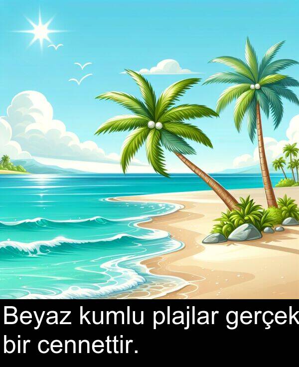 gerçek: Beyaz kumlu plajlar gerçek bir cennettir.