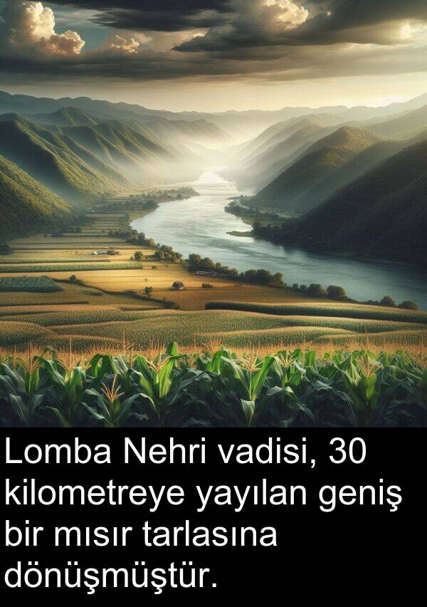 geniş: Lomba Nehri vadisi, 30 kilometreye yayılan geniş bir mısır tarlasına dönüşmüştür.