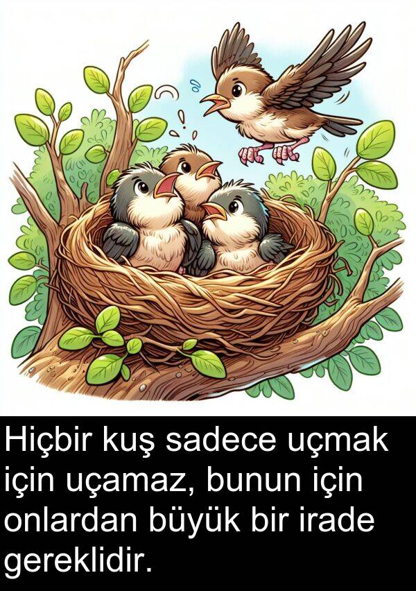 sadece: Hiçbir kuş sadece uçmak için uçamaz, bunun için onlardan büyük bir irade gereklidir.