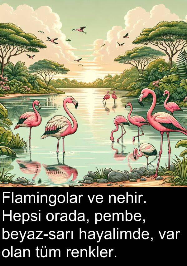 pembe: Flamingolar ve nehir. Hepsi orada, pembe, beyaz-sarı hayalimde, var olan tüm renkler.