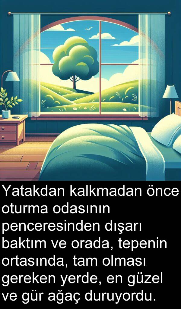 ağaç: Yatakdan kalkmadan önce oturma odasının penceresinden dışarı baktım ve orada, tepenin ortasında, tam olması gereken yerde, en güzel ve gür ağaç duruyordu.