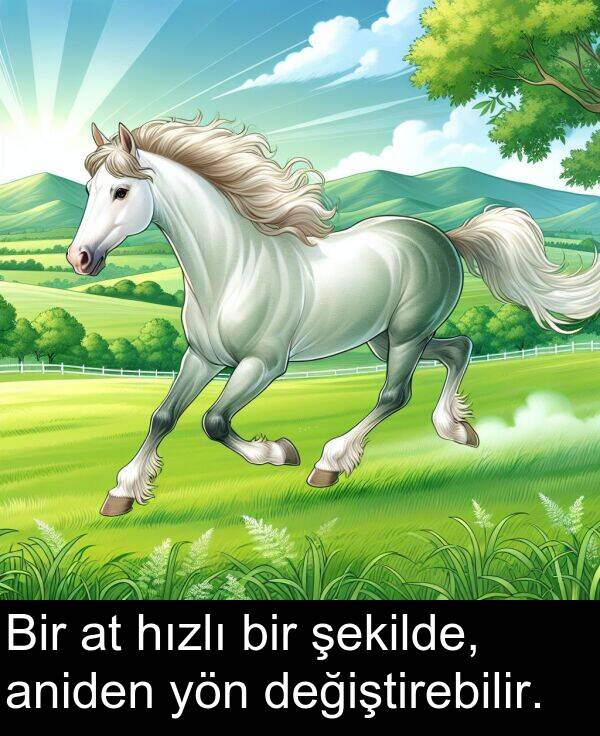 aniden: Bir at hızlı bir şekilde, aniden yön değiştirebilir.