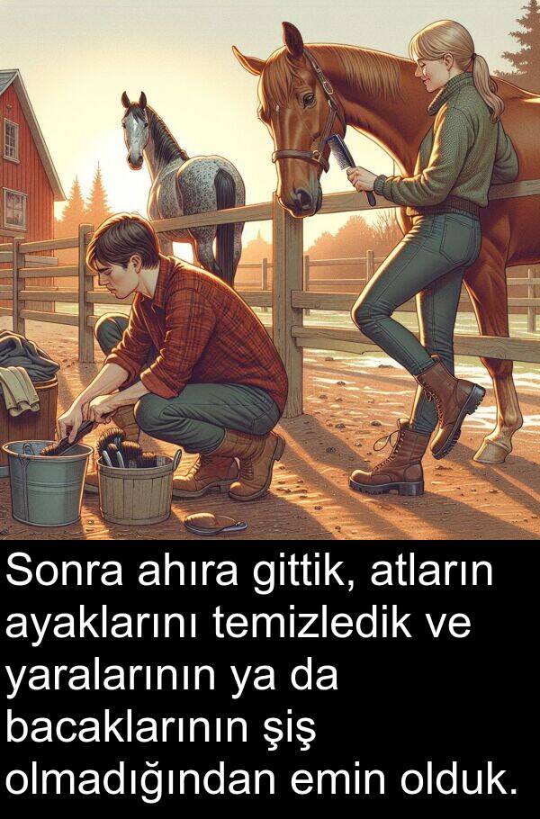 yaralarının: Sonra ahıra gittik, atların ayaklarını temizledik ve yaralarının ya da bacaklarının şiş olmadığından emin olduk.