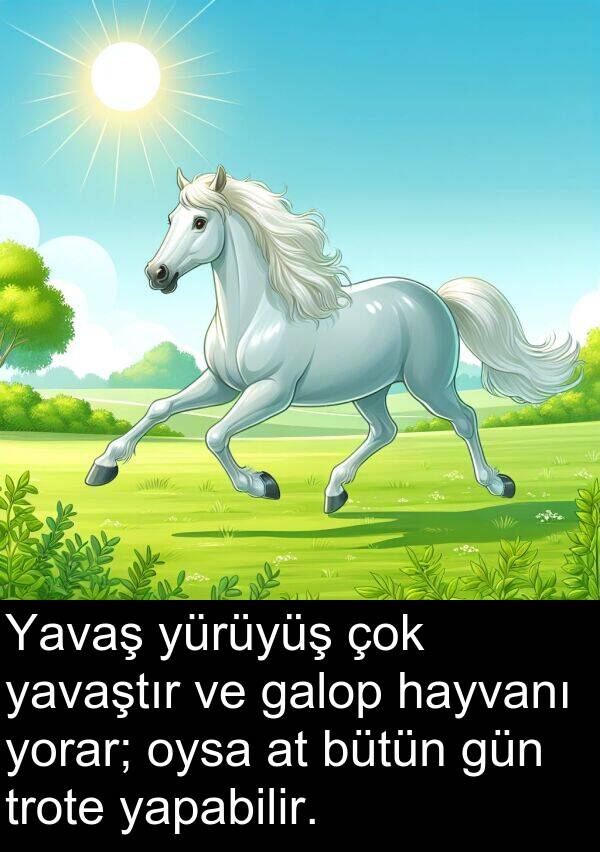 galop: Yavaş yürüyüş çok yavaştır ve galop hayvanı yorar; oysa at bütün gün trote yapabilir.