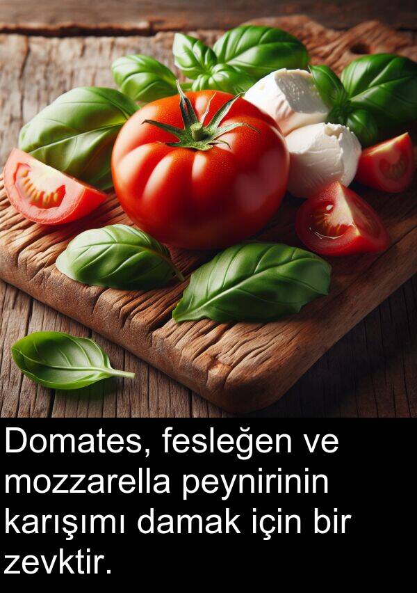 fesleğen: Domates, fesleğen ve mozzarella peynirinin karışımı damak için bir zevktir.