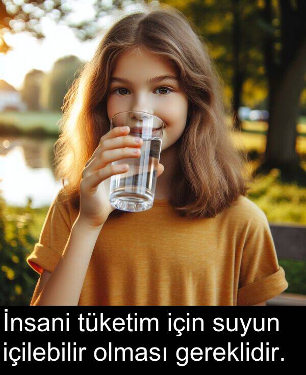 gereklidir: İnsani tüketim için suyun içilebilir olması gereklidir.