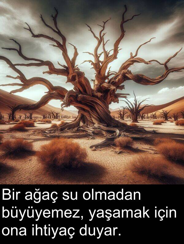 ağaç: Bir ağaç su olmadan büyüyemez, yaşamak için ona ihtiyaç duyar.