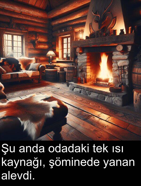 tek: Şu anda odadaki tek ısı kaynağı, şöminede yanan alevdi.