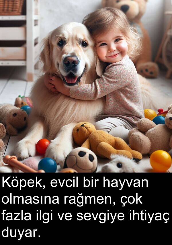 fazla: Köpek, evcil bir hayvan olmasına rağmen, çok fazla ilgi ve sevgiye ihtiyaç duyar.