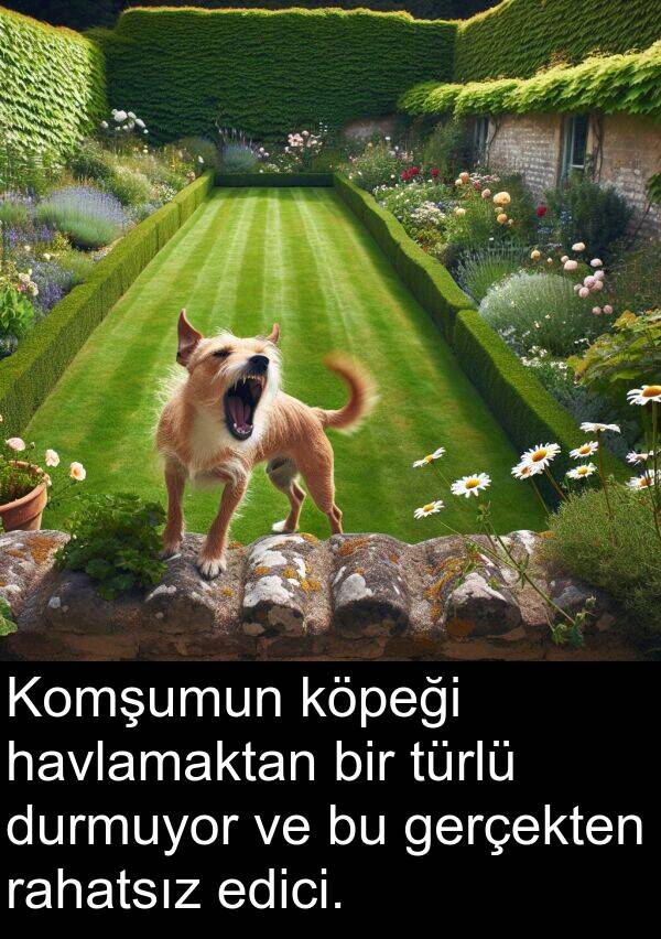 gerçekten: Komşumun köpeği havlamaktan bir türlü durmuyor ve bu gerçekten rahatsız edici.