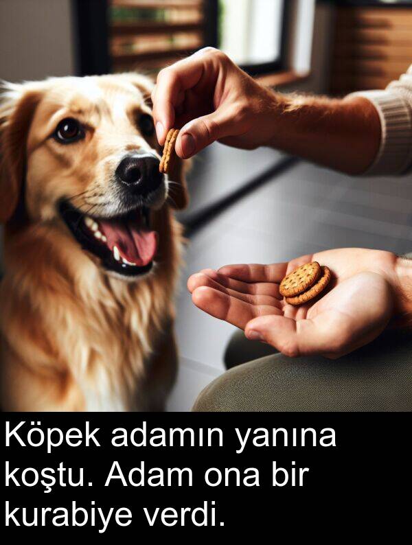 adamın: Köpek adamın yanına koştu. Adam ona bir kurabiye verdi.