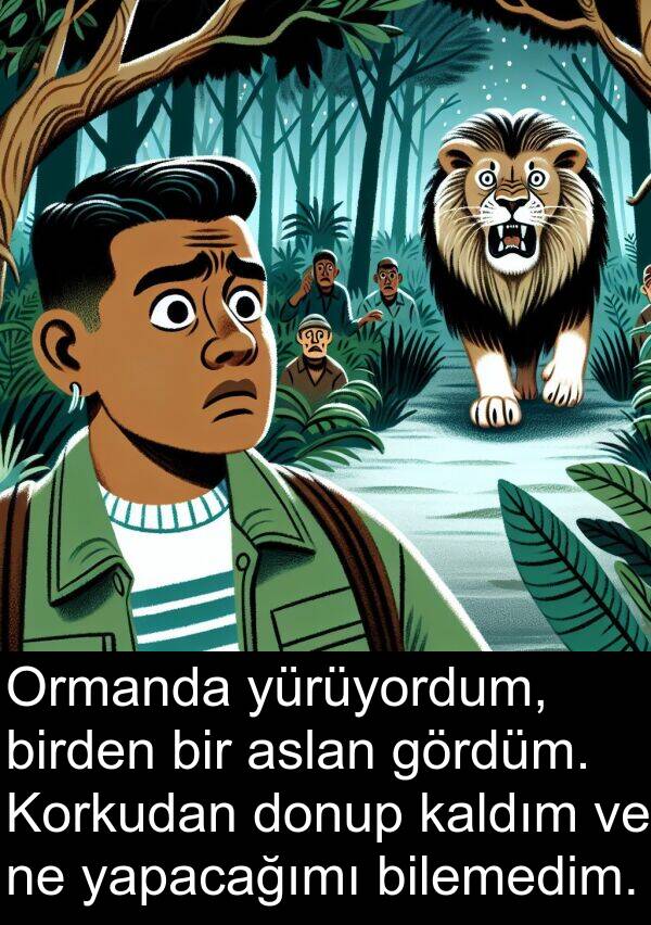 yapacağımı: Ormanda yürüyordum, birden bir aslan gördüm. Korkudan donup kaldım ve ne yapacağımı bilemedim.