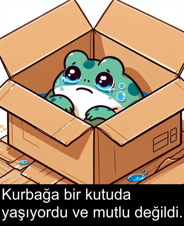 yaşıyordu: Kurbağa bir kutuda yaşıyordu ve mutlu değildi.
