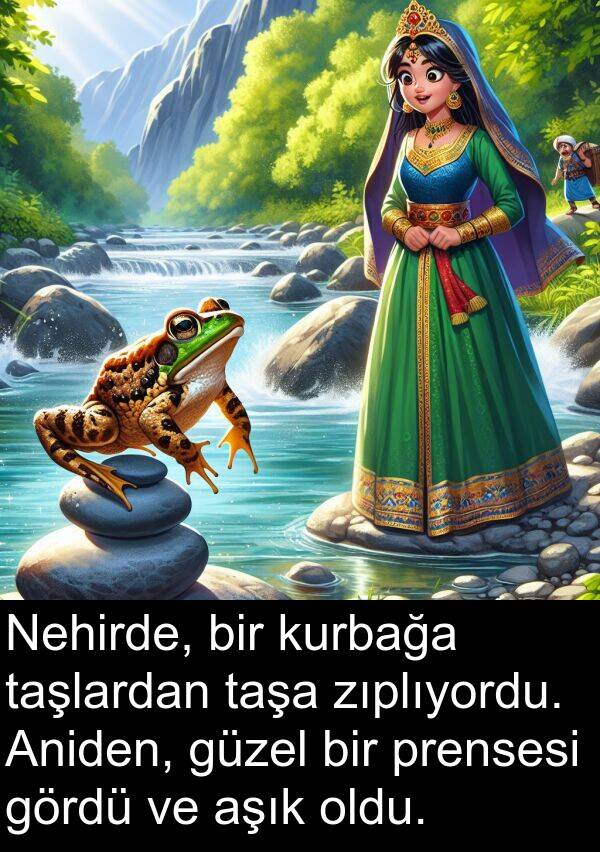 zıplıyordu: Nehirde, bir kurbağa taşlardan taşa zıplıyordu. Aniden, güzel bir prensesi gördü ve aşık oldu.