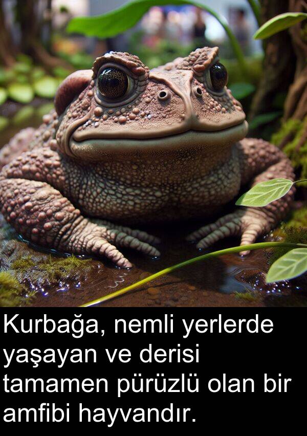nemli: Kurbağa, nemli yerlerde yaşayan ve derisi tamamen pürüzlü olan bir amfibi hayvandır.