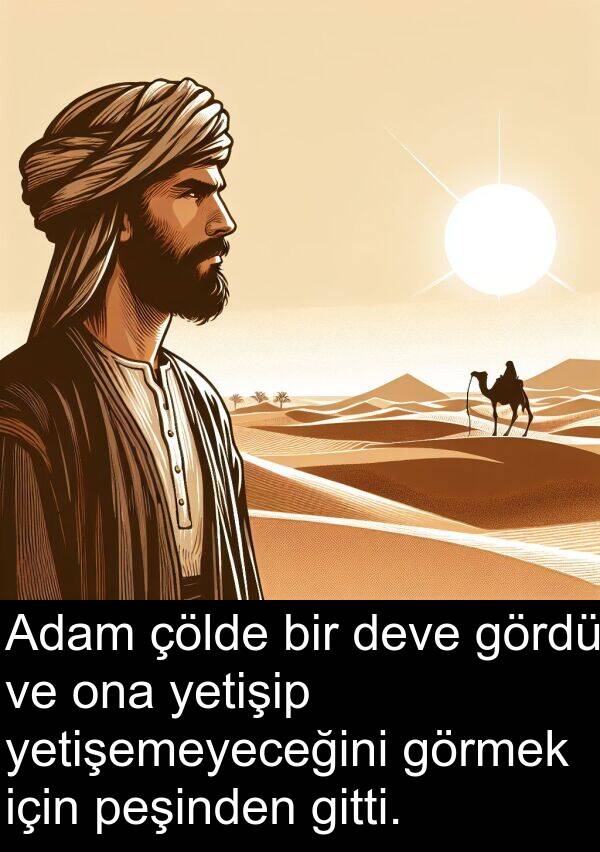 peşinden: Adam çölde bir deve gördü ve ona yetişip yetişemeyeceğini görmek için peşinden gitti.