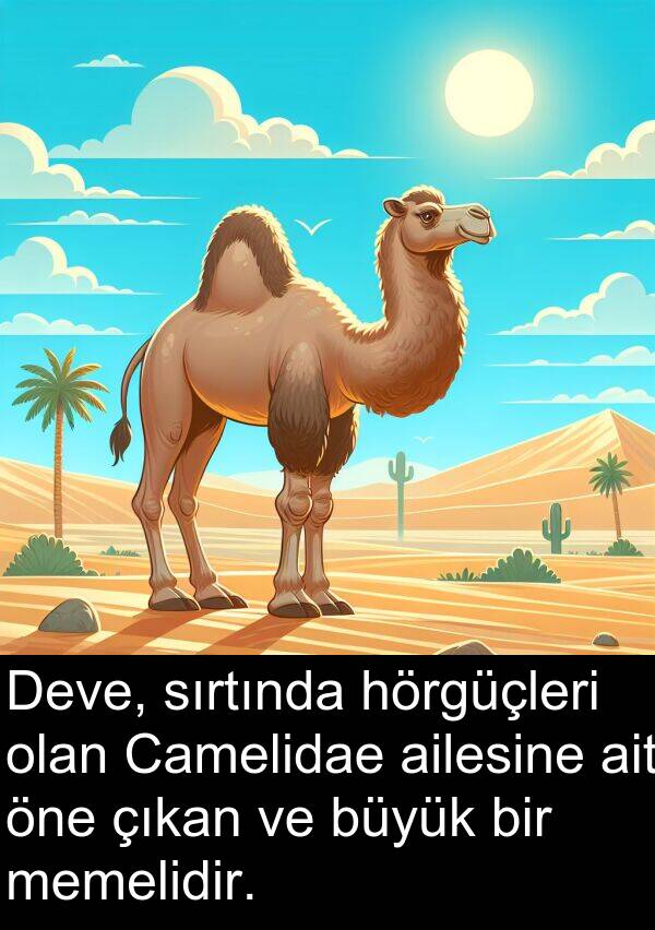 ailesine: Deve, sırtında hörgüçleri olan Camelidae ailesine ait öne çıkan ve büyük bir memelidir.