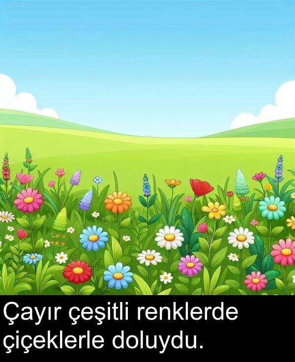 renklerde: Çayır çeşitli renklerde çiçeklerle doluydu.