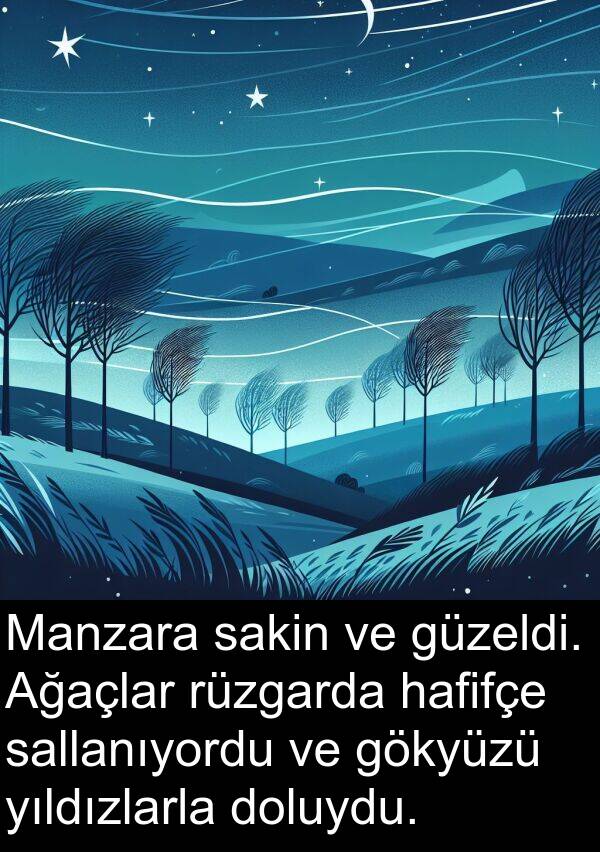 sallanıyordu: Manzara sakin ve güzeldi. Ağaçlar rüzgarda hafifçe sallanıyordu ve gökyüzü yıldızlarla doluydu.