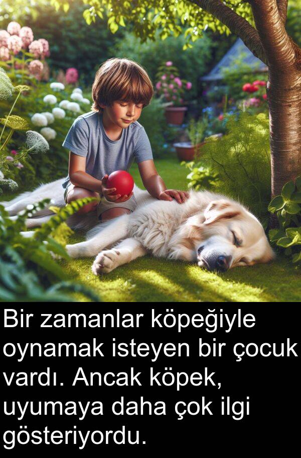 uyumaya: Bir zamanlar köpeğiyle oynamak isteyen bir çocuk vardı. Ancak köpek, uyumaya daha çok ilgi gösteriyordu.