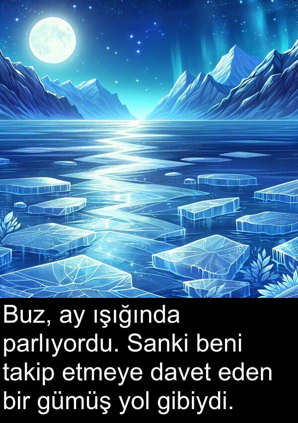 parlıyordu: Buz, ay ışığında parlıyordu. Sanki beni takip etmeye davet eden bir gümüş yol gibiydi.