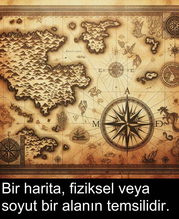fiziksel: Bir harita, fiziksel veya soyut bir alanın temsilidir.