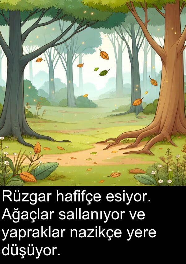 yapraklar: Rüzgar hafifçe esiyor. Ağaçlar sallanıyor ve yapraklar nazikçe yere düşüyor.