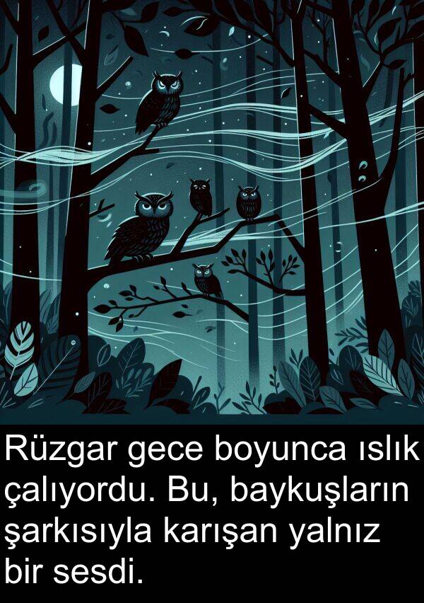 yalnız: Rüzgar gece boyunca ıslık çalıyordu. Bu, baykuşların şarkısıyla karışan yalnız bir sesdi.