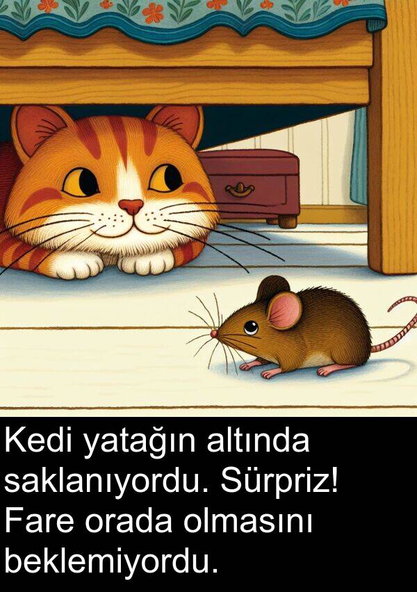 saklanıyordu: Kedi yatağın altında saklanıyordu. Sürpriz! Fare orada olmasını beklemiyordu.