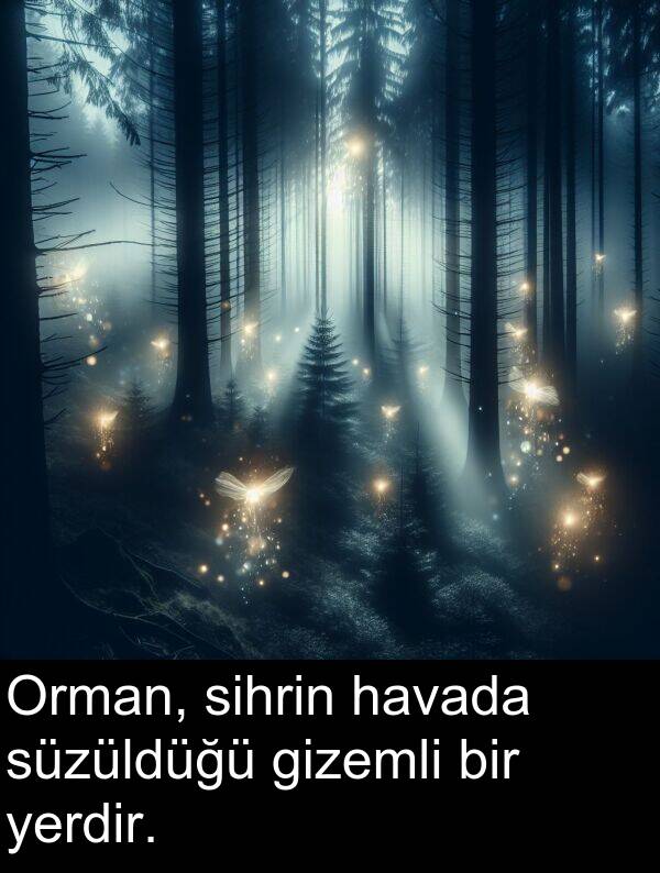 süzüldüğü: Orman, sihrin havada süzüldüğü gizemli bir yerdir.