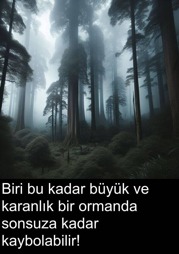 ormanda: Biri bu kadar büyük ve karanlık bir ormanda sonsuza kadar kaybolabilir!